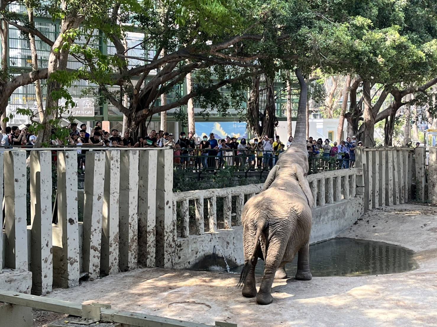 高雄兒童節連假湧現出遊潮 把握最後一天 壽山動物園免費入園